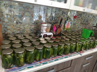 Прикрепленное изображение: IMG_20200830_135459_resize_83.jpg